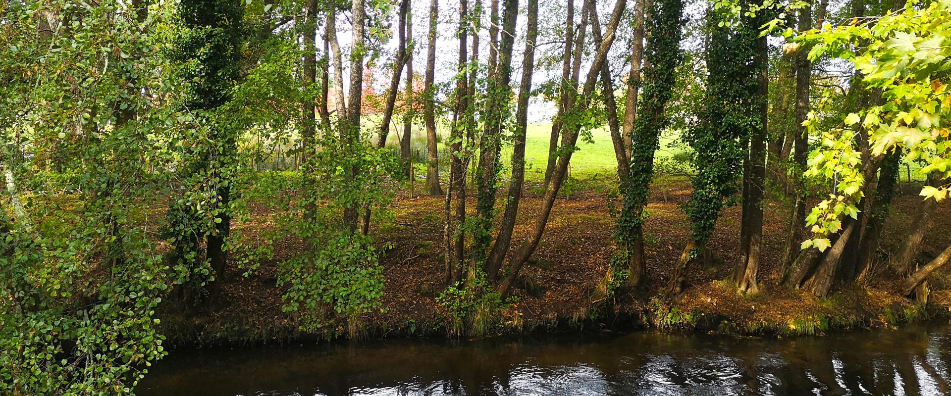 le courlis header site