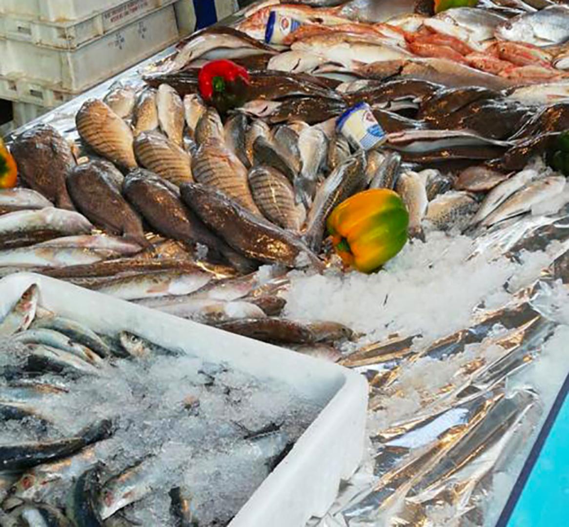 Marché Mézos-04-©D.Hardy.jpg