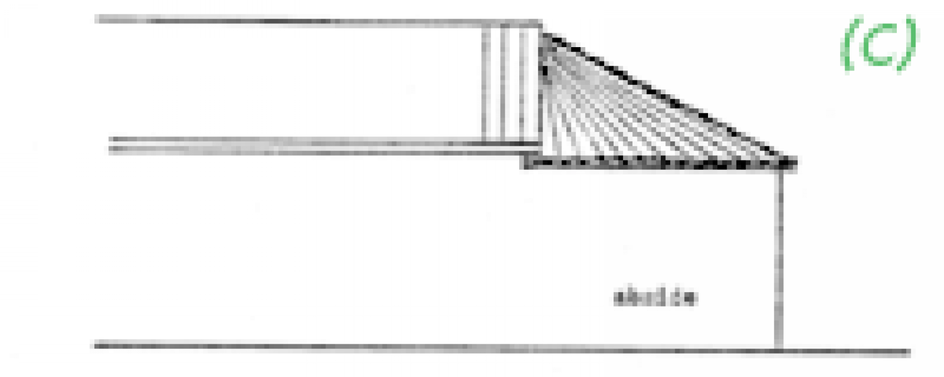 C-Chaplle-.png