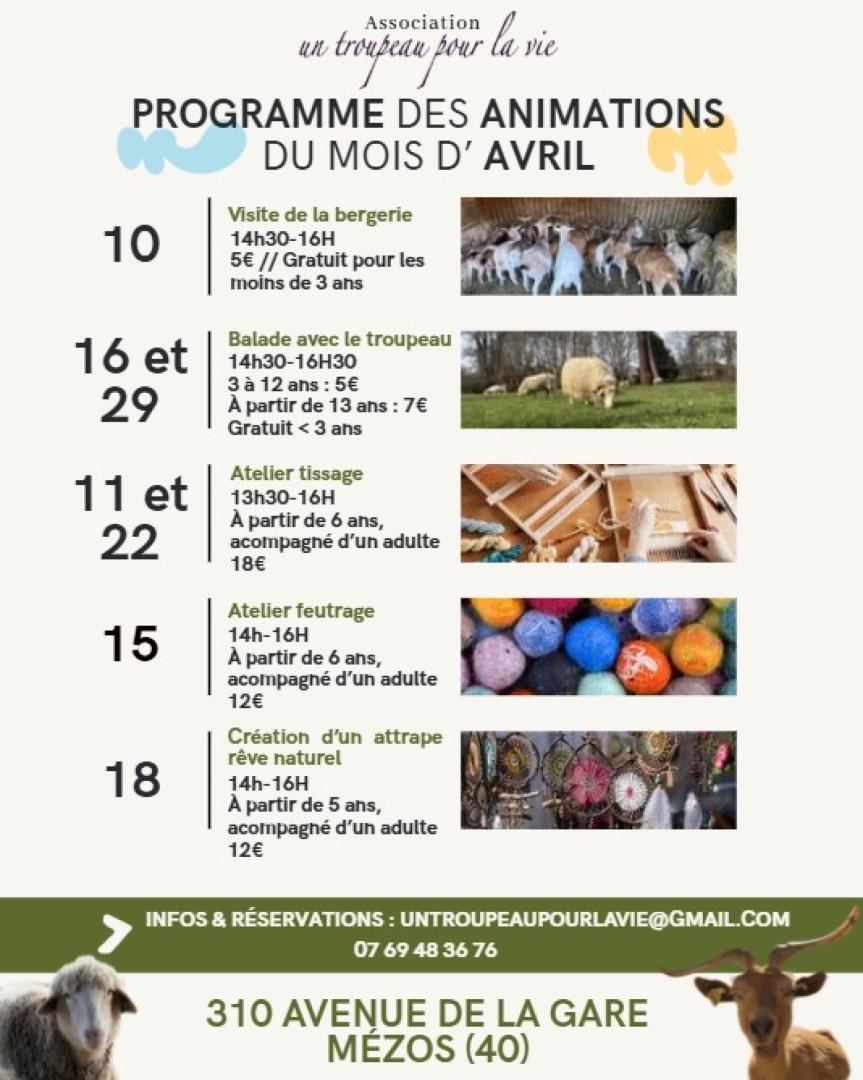 animations bergerie avril.jpg