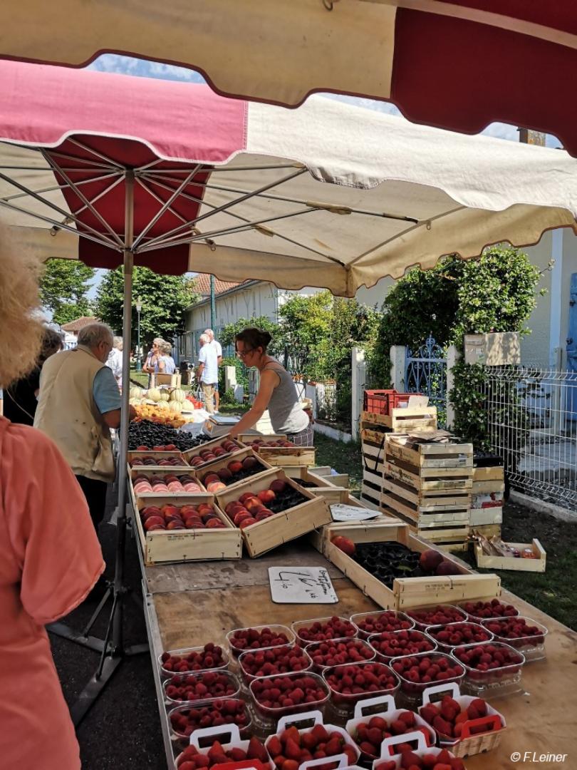 marché été 2022.jpg
