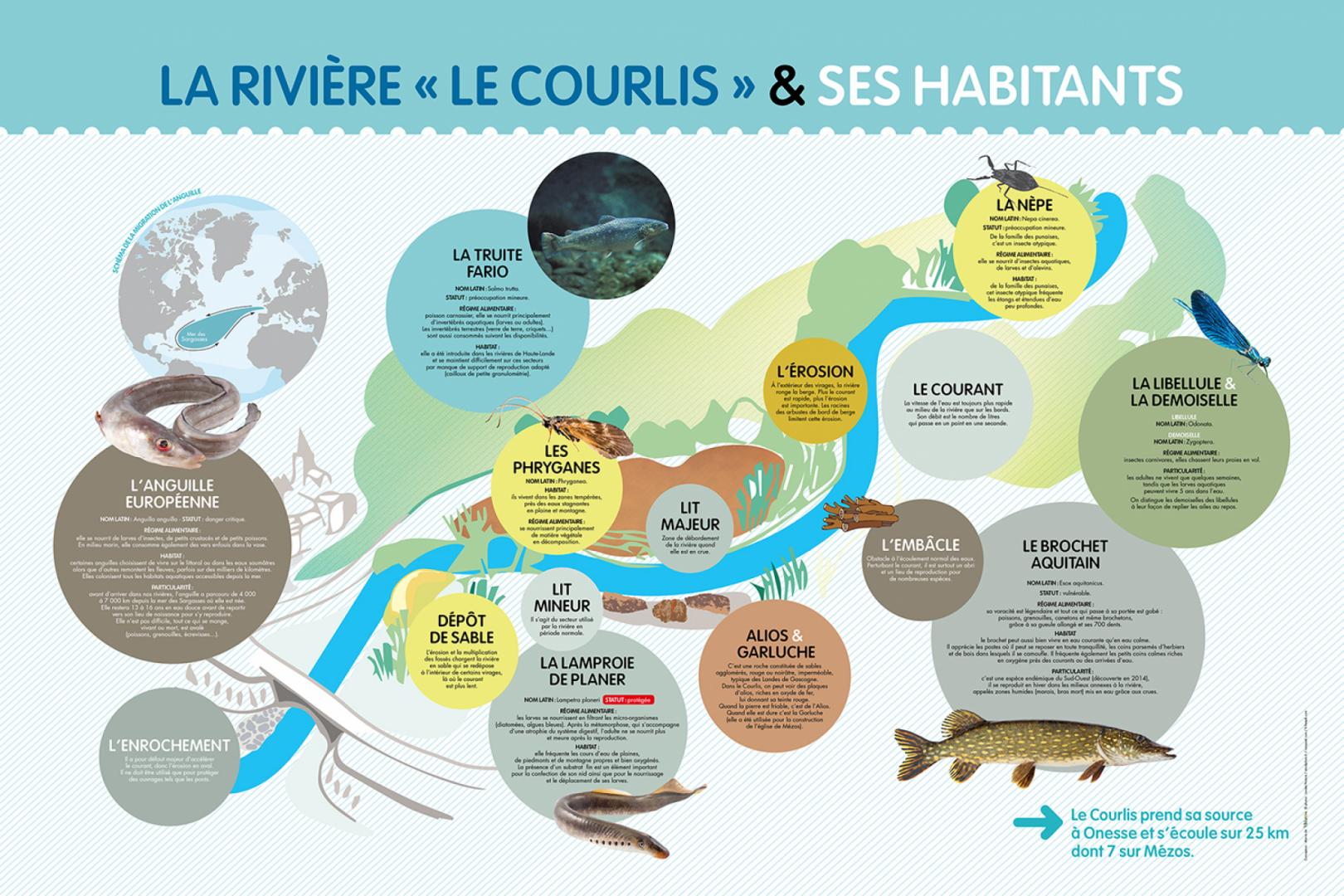 La riviere & habitants.jpg