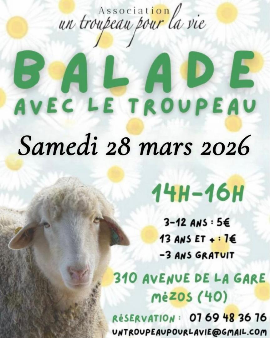 balade troupeau 28.03.jpeg