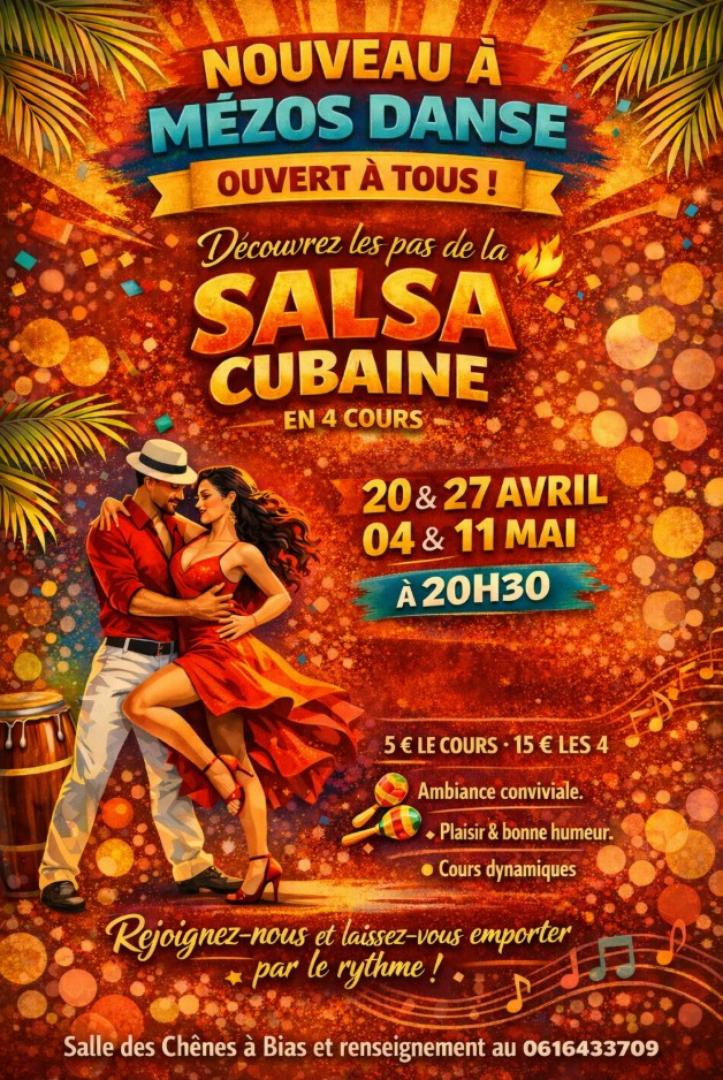 mezos danse - salsa cubaine.jpg