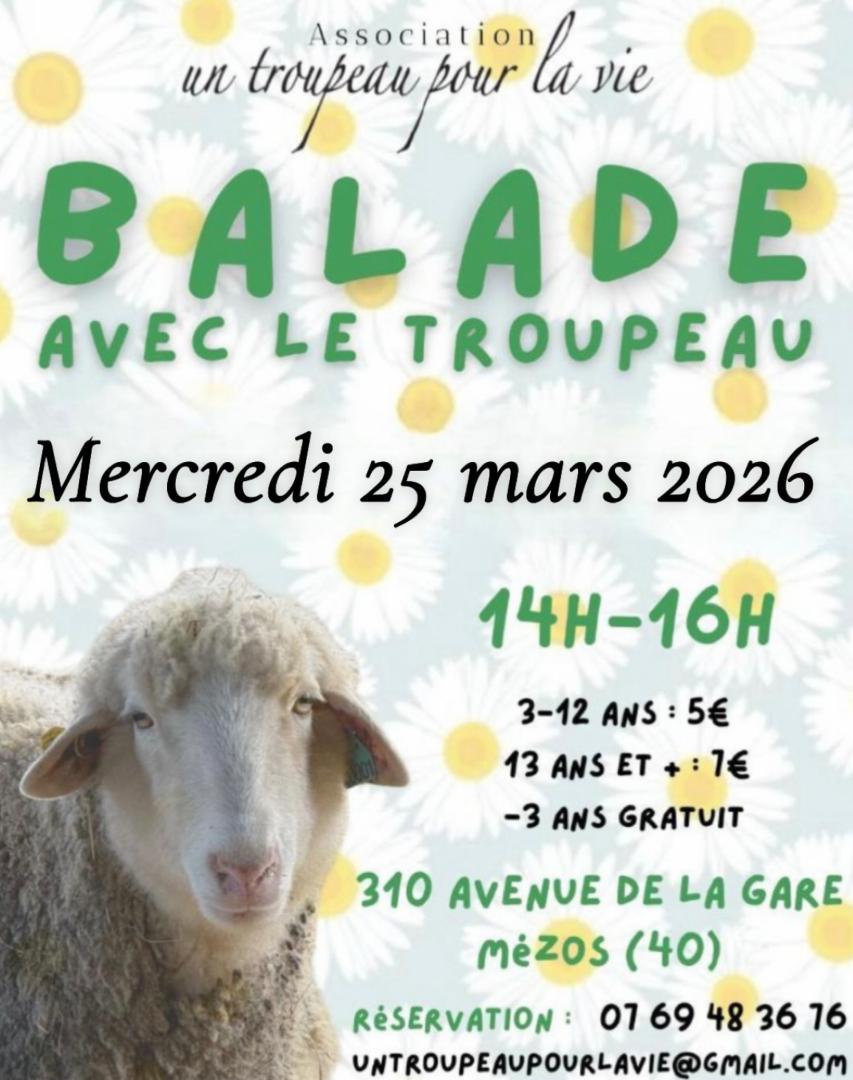balade troupeau 25.03.jpeg